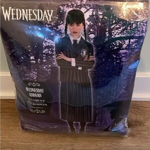 Wednesday Addams Adult Costume - XL